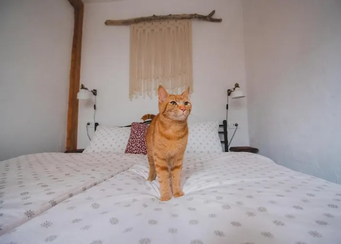 Apartma Cici 科巴里德