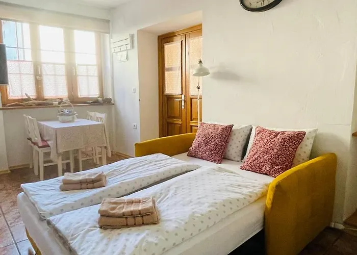 公寓 Apartma Cici 科巴里德